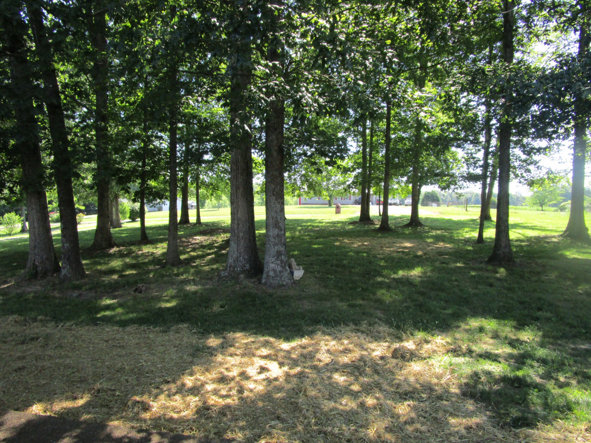 619 Lear Road Portland, TN 37148 - Photo 10 of 43 a backyard of a house with lots of green space