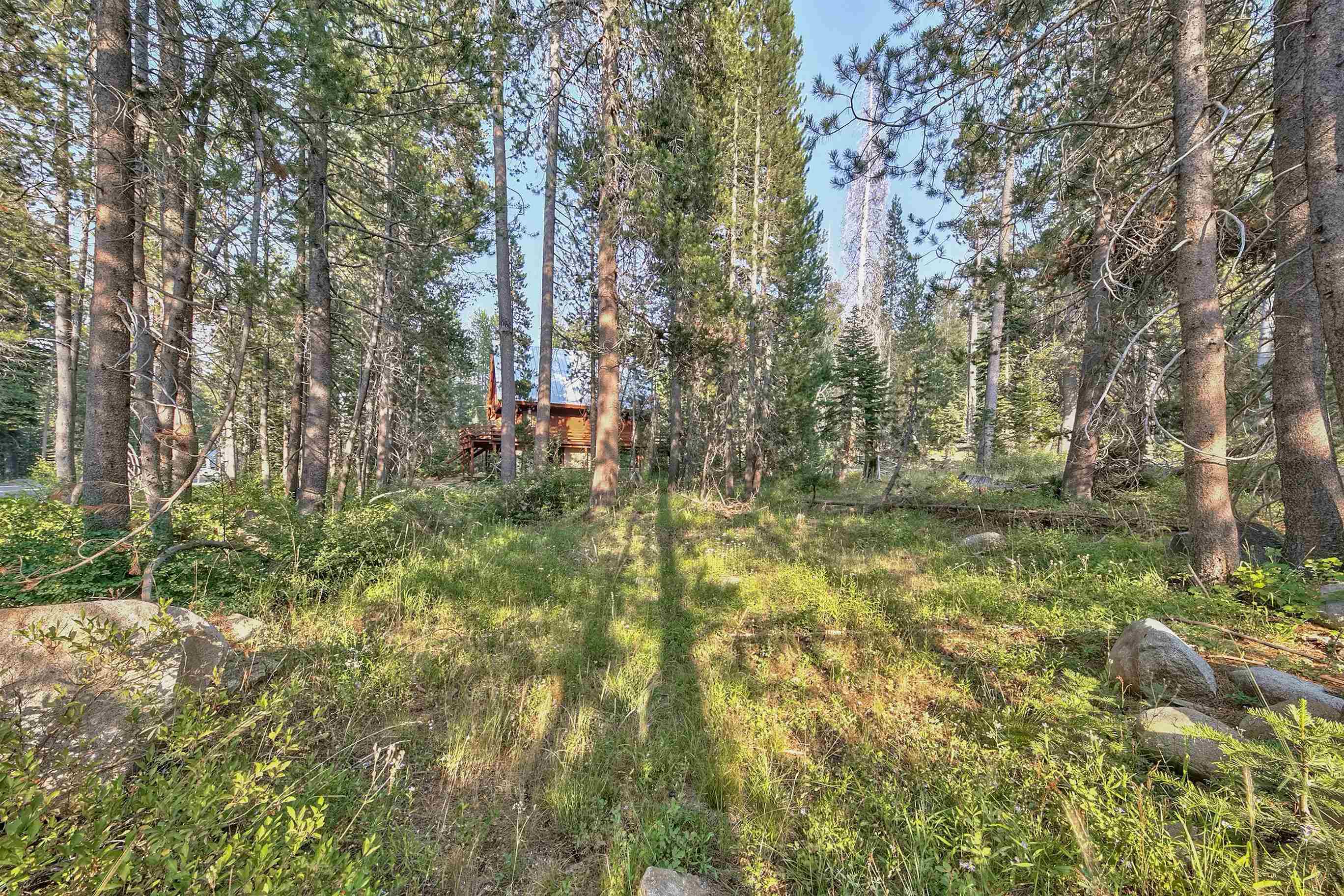 51357 Donner Pass Road Soda Springs, CA 95728 - Photo 4 of 17