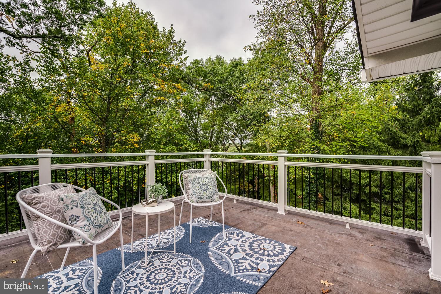9432 Emory Grove Road Gaithersburg, MD 20877 - Photo 52 of 87 Rooftop Deck