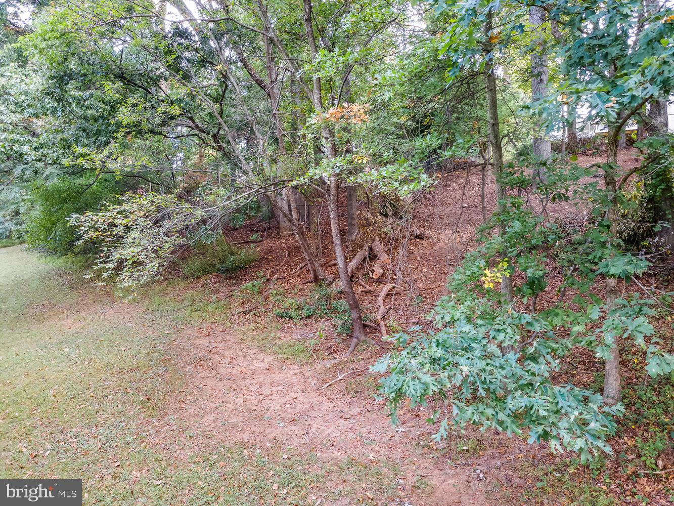 9432 Emory Grove Road Gaithersburg, MD 20877 - Photo 65 of 87 Path to Lake Whetstone