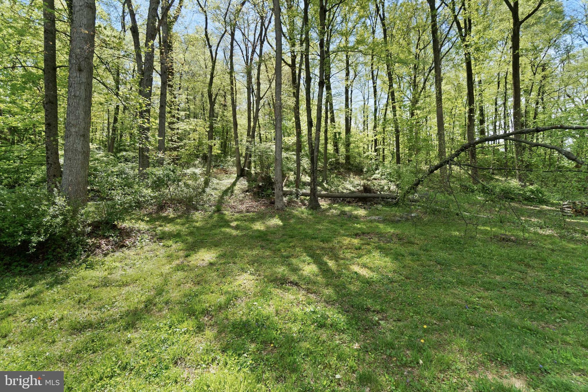 98 Wanner Road Reading, PA 19606 - Photo 5 of 30 a view of a yard with large trees