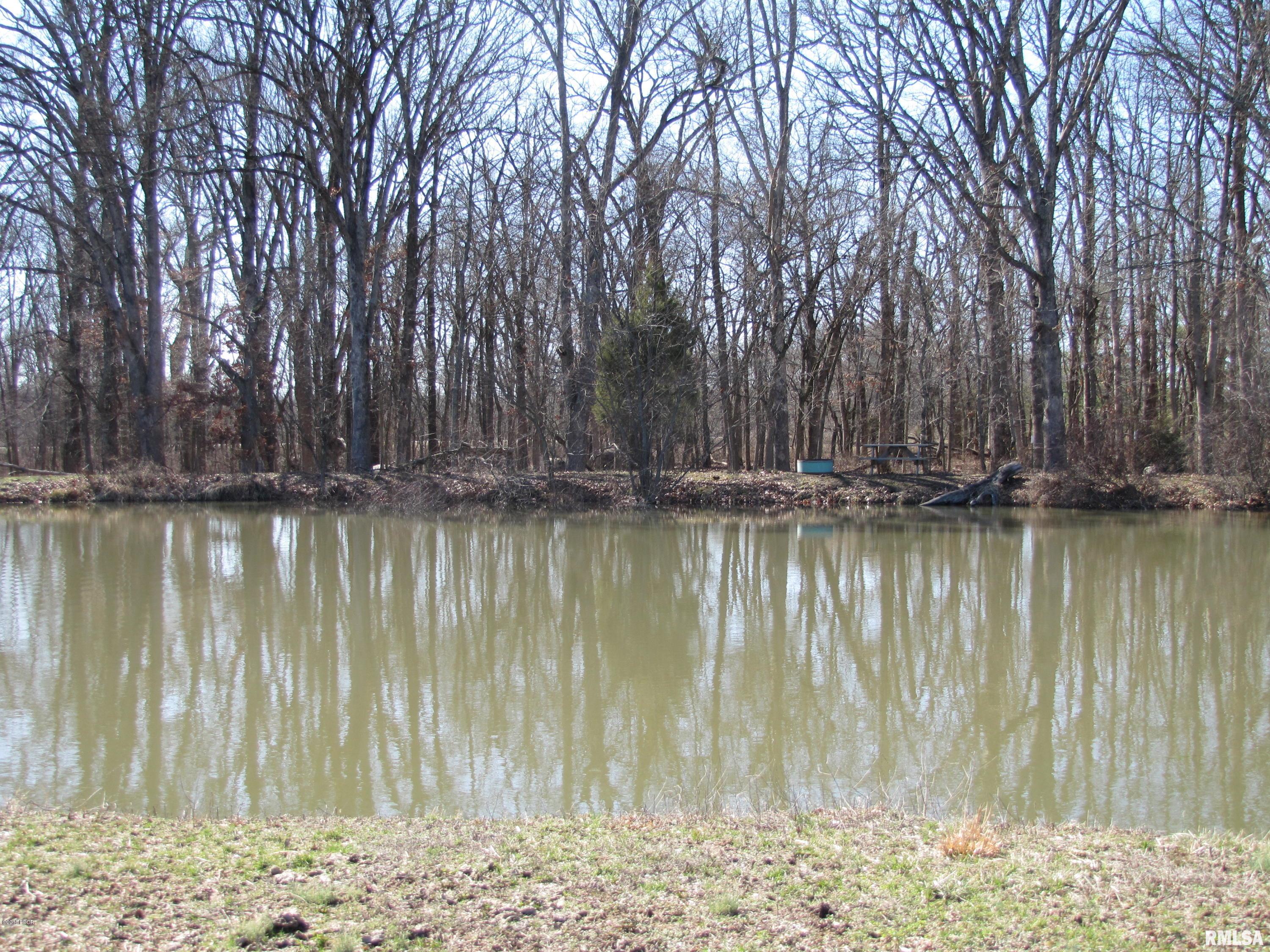 1803 Old Salem Road Kell, IL 62853 - Photo 42 of 50 Gallery Image 42
