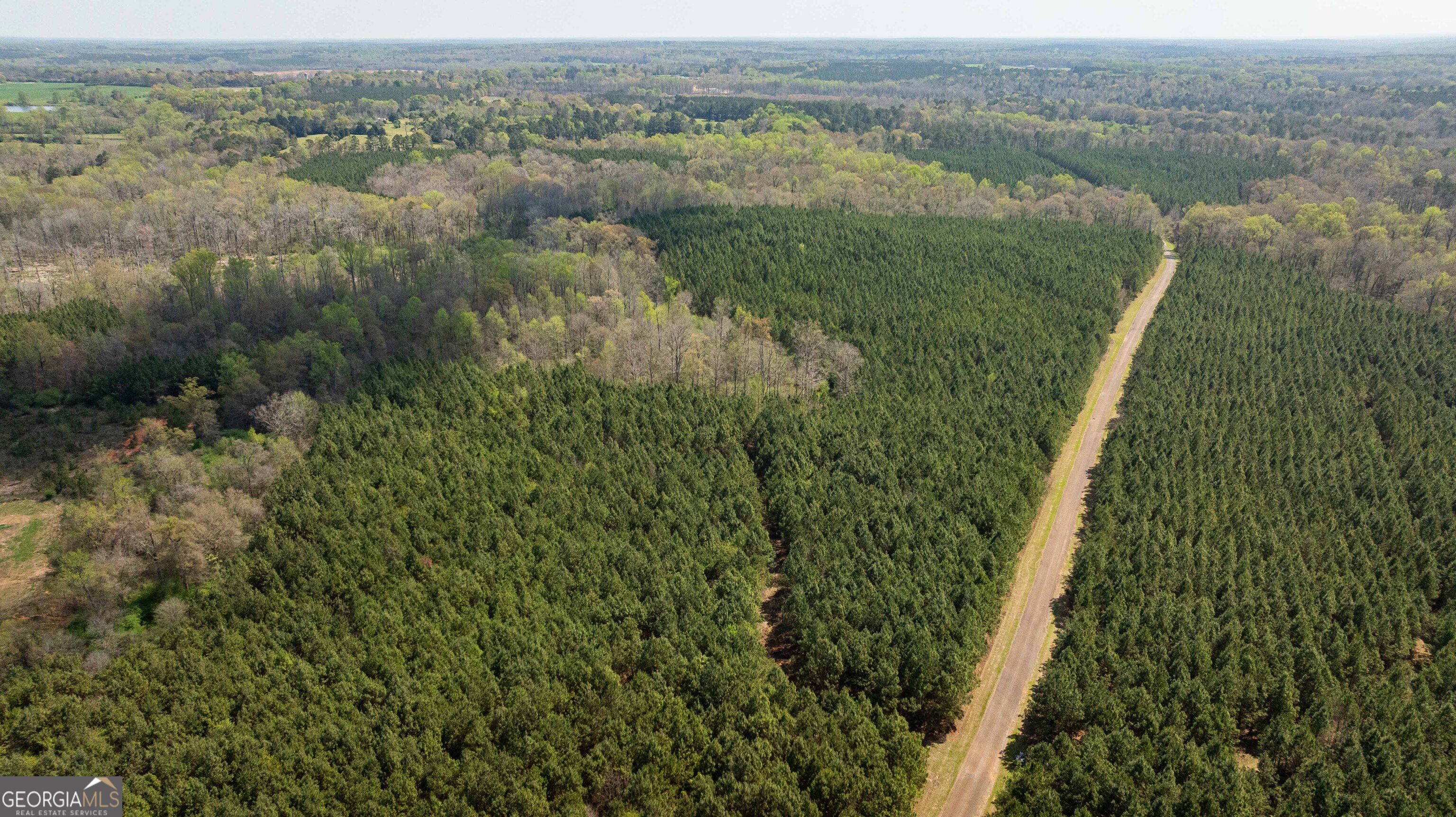 435 Morgan Road Yatesville, GA 31097 - Photo 13 of 17