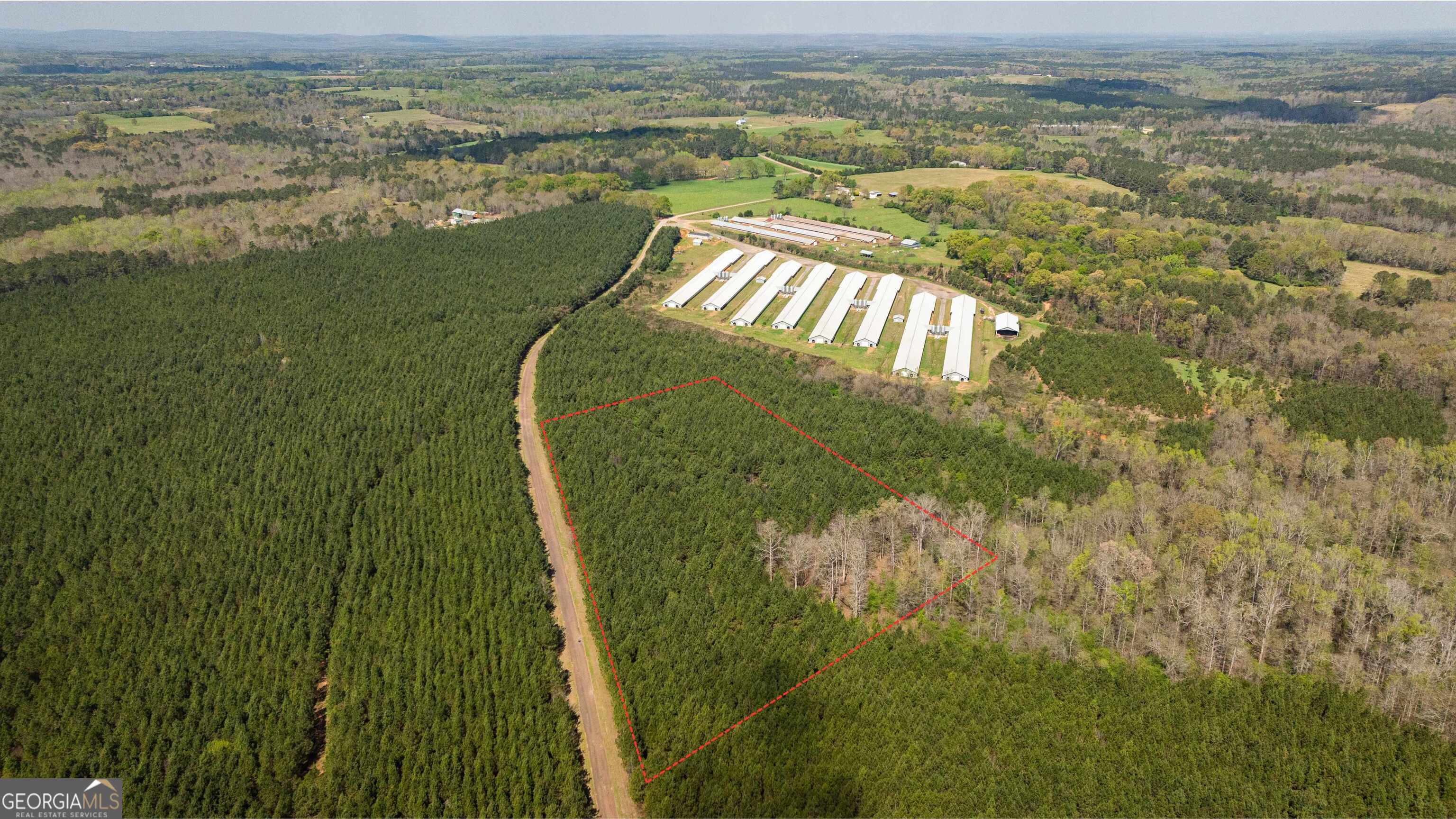 435 Morgan Road Yatesville, GA 31097 - Photo 8 of 17