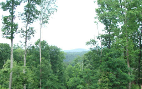 Lot 7 Deerfield Lane Blue Ridge, GA 30513 - Photo 1 of 1 Main View