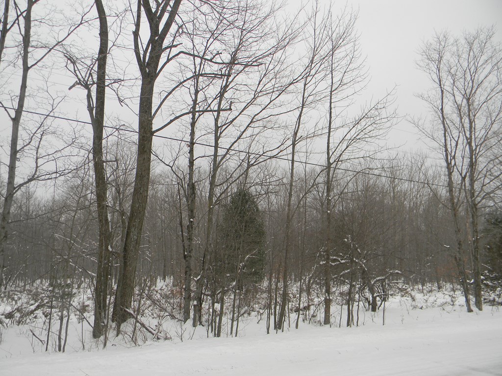 Maple Grove Road Fish Creek, WI 54212 - Photo 14 of 14