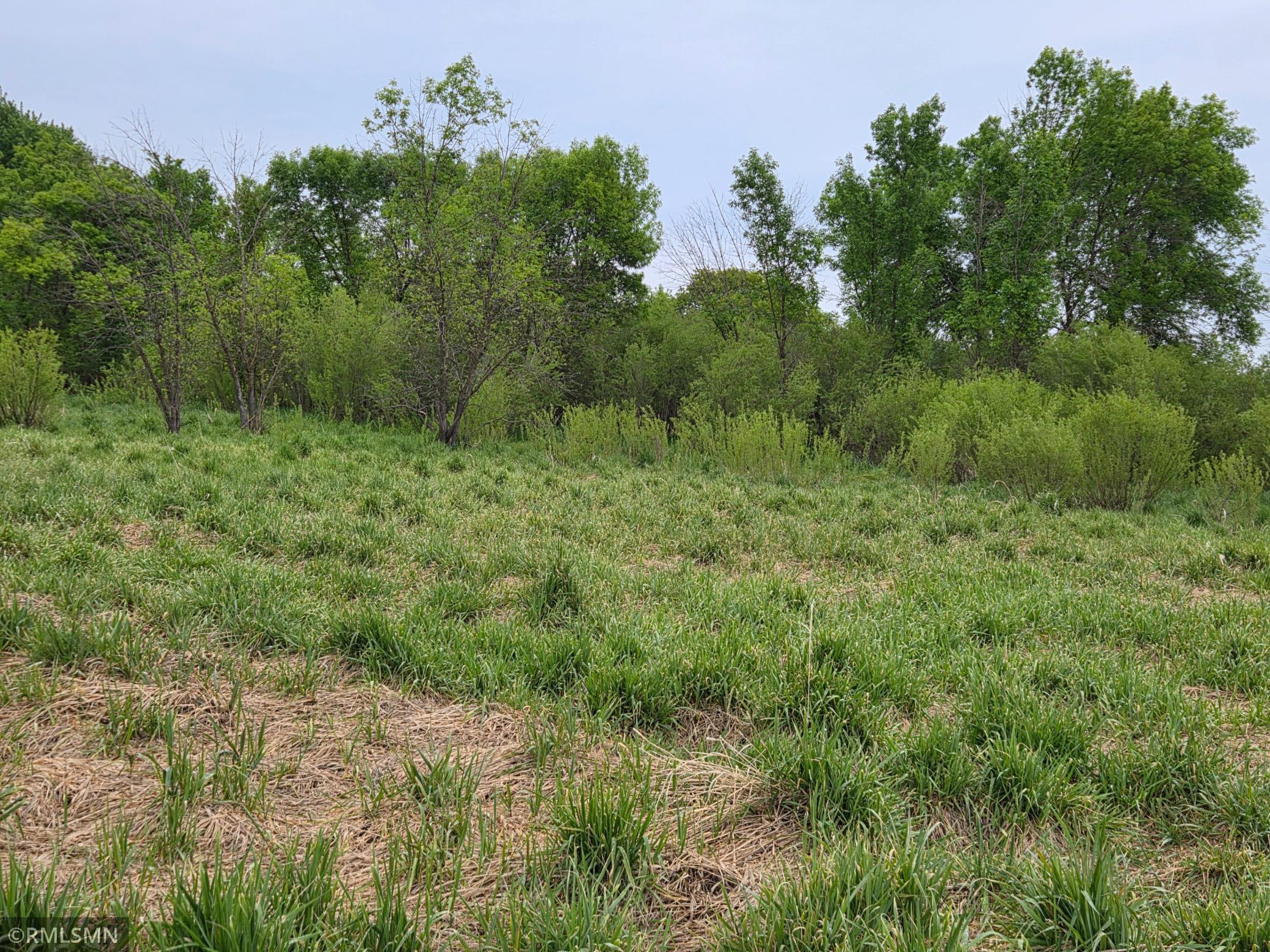 Tbd Tbd 484th Lane Waterville, MN 56096 - Photo 5 of 52