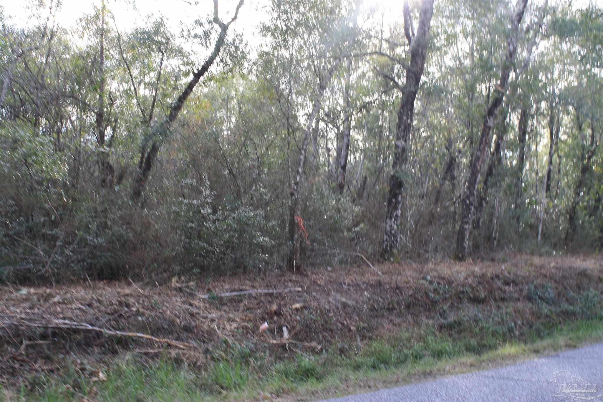 0 Johnson Road Milton, FL 32583 - Photo 2 of 5