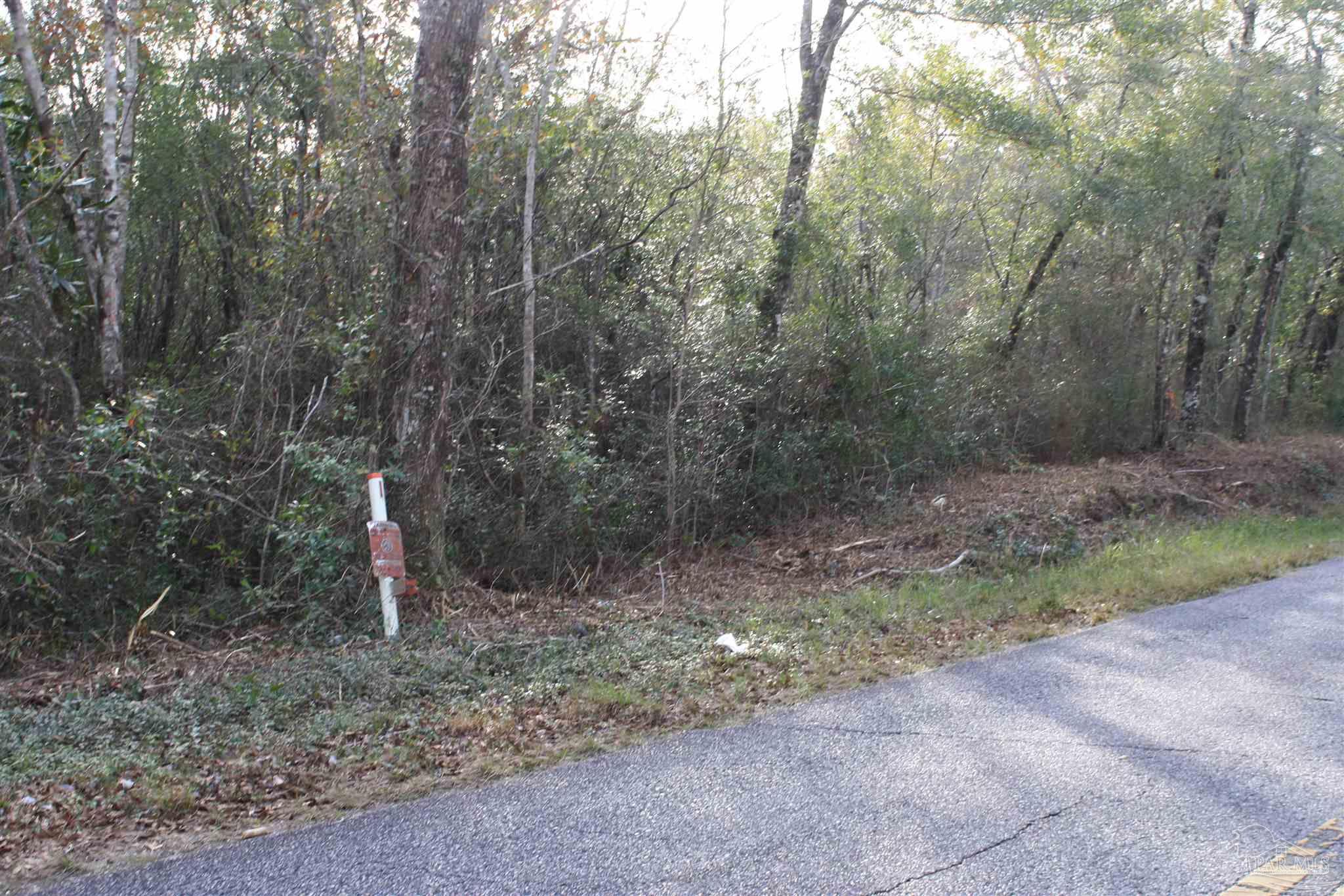 0 Johnson Road Milton, FL 32583 - Photo 3 of 5