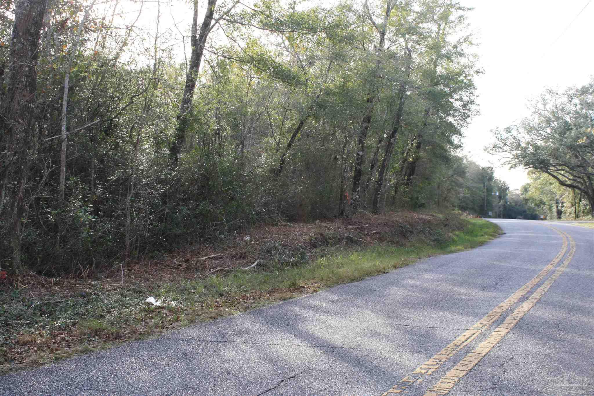 0 Johnson Road Milton, FL 32583 - Photo 4 of 5