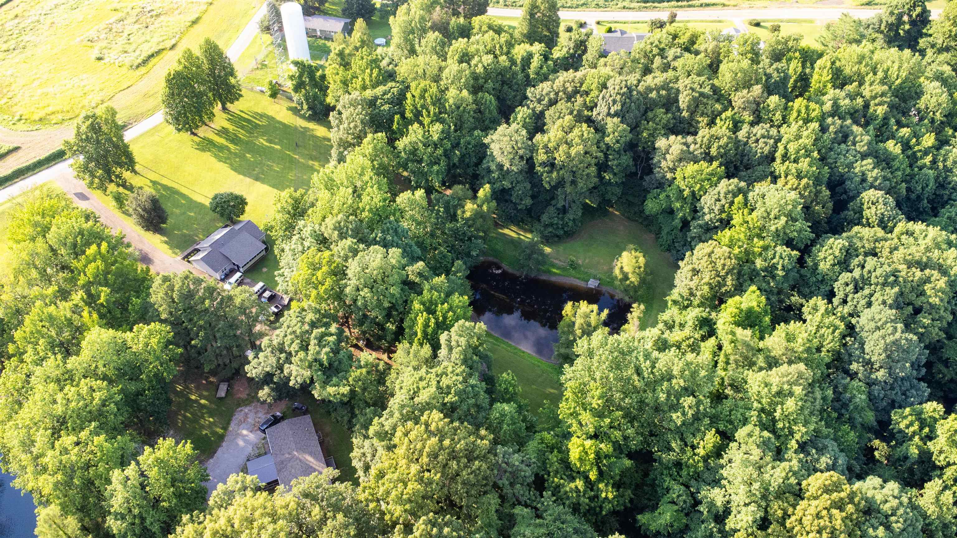 120 Craig Road Ripley, TN 38063 - Photo 32 of 38 Sprawling property featuring a natural pond, extensive mature tree coverage, and open grassy areas