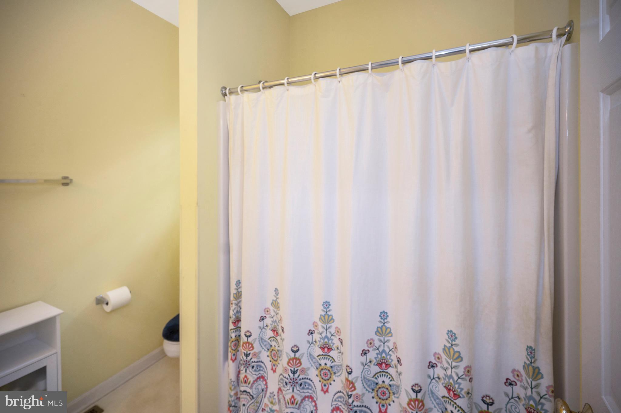 3800 Lakeview Parkway Locust Grove, VA 22508 - Photo 29 of 51 Guest bath with tub/shower