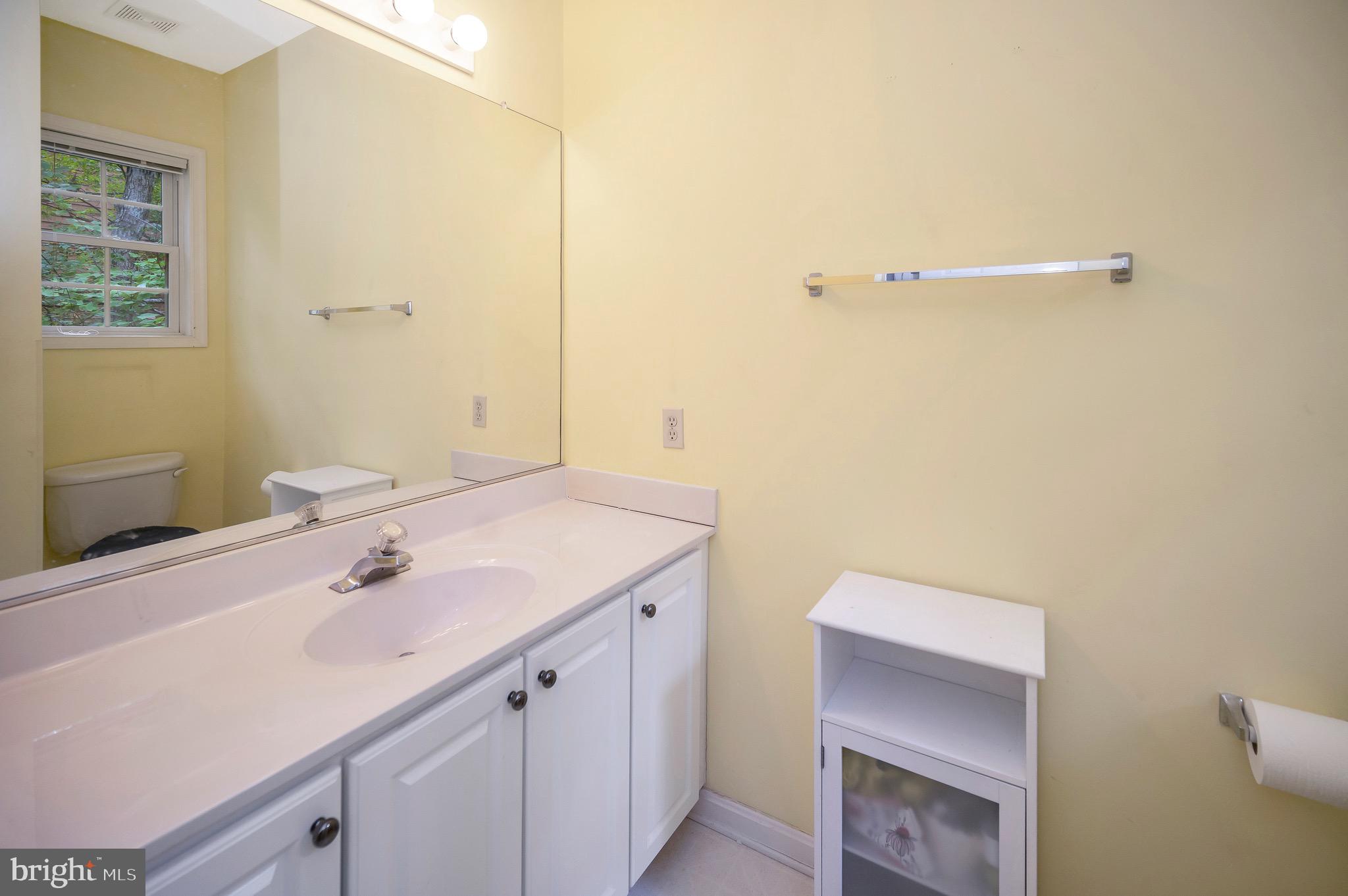 3800 Lakeview Parkway Locust Grove, VA 22508 - Photo 30 of 51 Additional storage in the bathroom