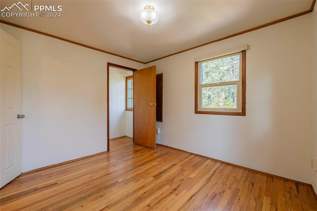 10145 Wildwood Road Cascade, CO 80809 - Photo 13 of 29 Gallery Image 13