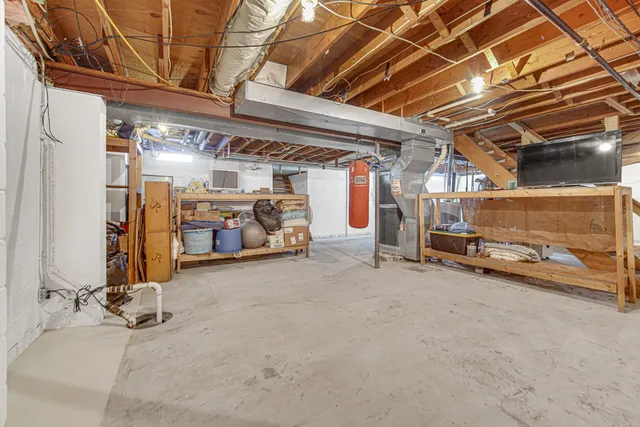 a street view with large trees