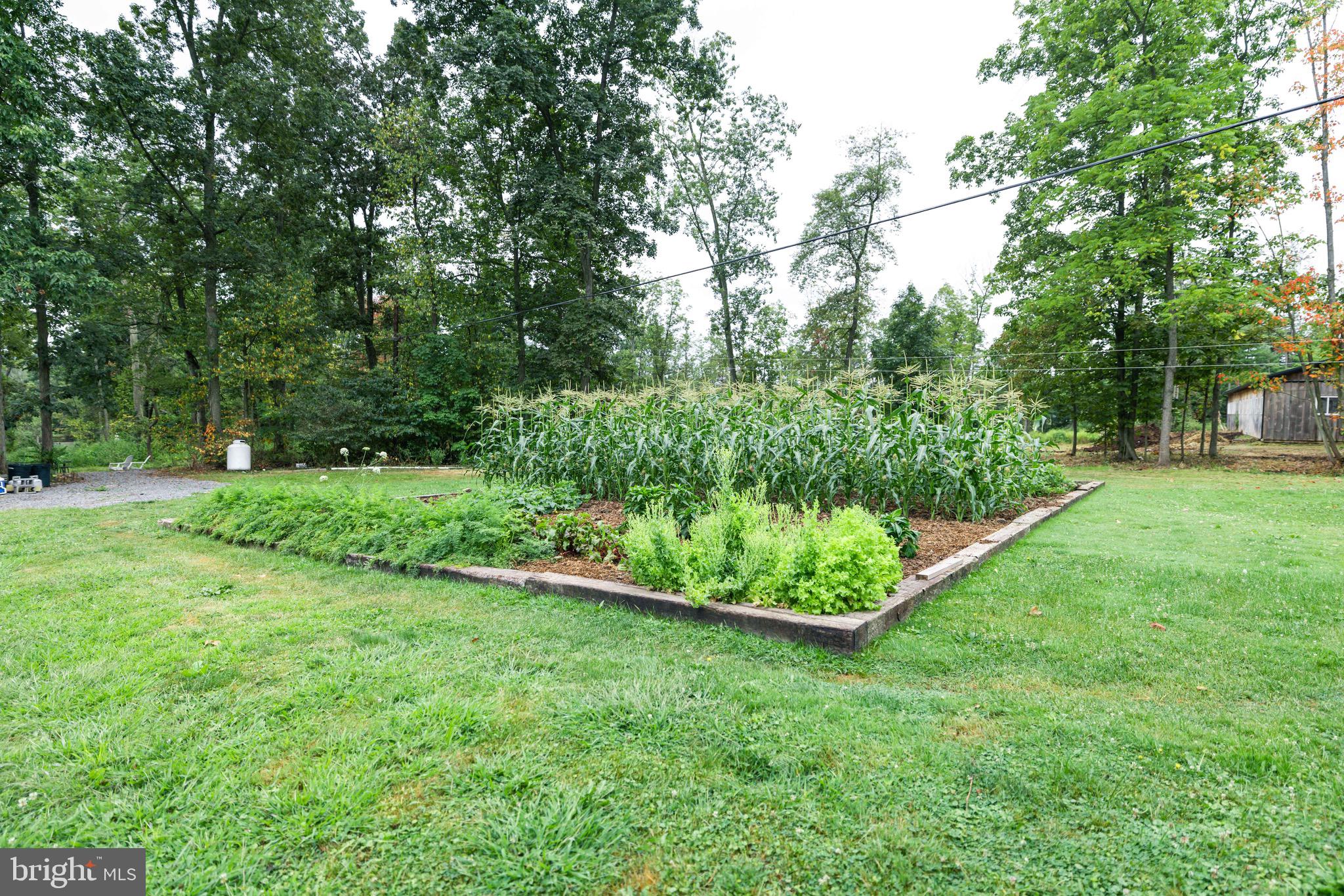 245 Madisonburg Pike Road Madisonburg, PA 16852 - Photo 33 of 80