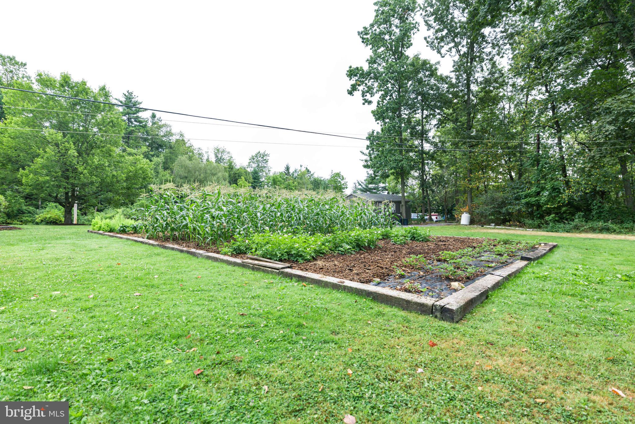 245 Madisonburg Pike Road Madisonburg, PA 16852 - Photo 34 of 80