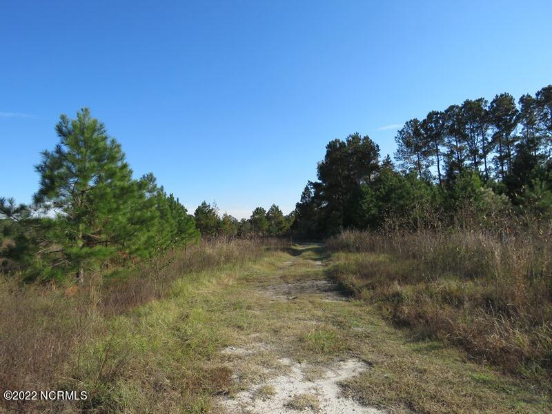 0 Lovette Road Lumberton, NC 28358 - Photo 2 of 39 3