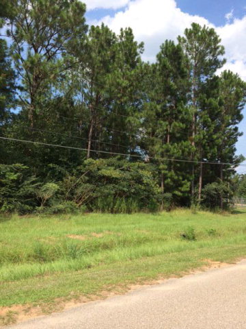N/a Barfield Road Cowarts, AL 36321 - Photo 1 of 1