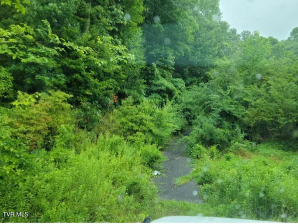 $29,000 | 103 Locust Avenue Southwest, Norton, VA 24273