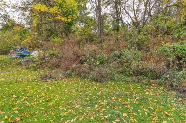 a view of a lake with a tree