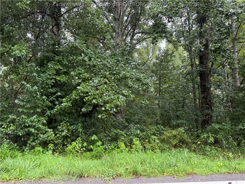 0 South Elk River Road Clendenin, WV 25045 - Photo 12 of 13 Gallery Image 12