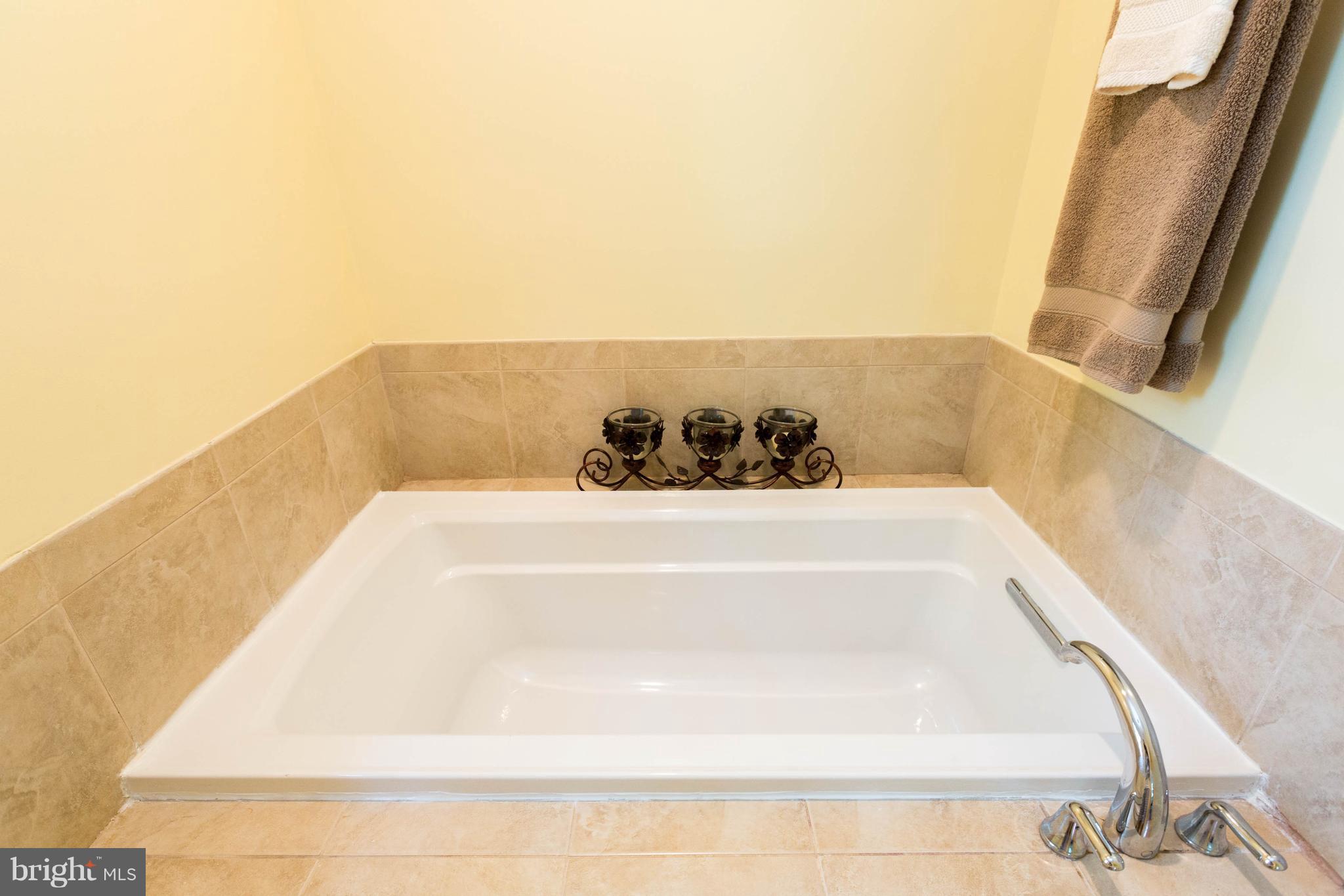 8103 St David Court Springfield, VA 22153 - Photo 15 of 30 Master Tub