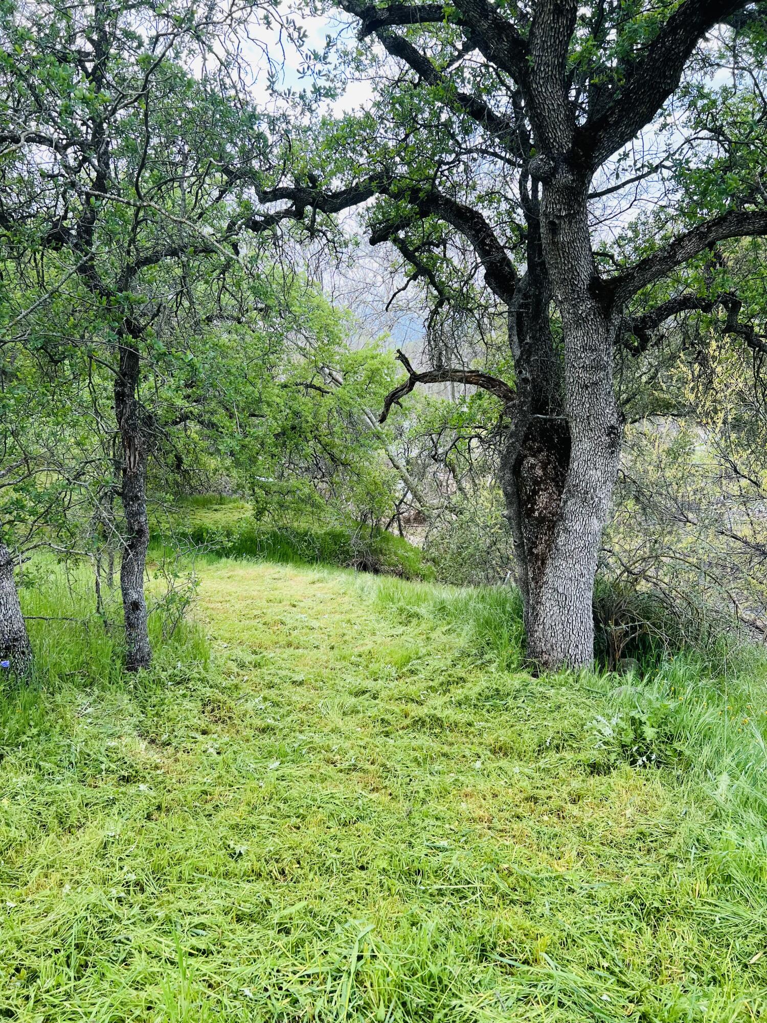 0 North Kaweah River Drive Three Rivers, CA 93271 - Photo 50 of 78 5EC31355-8DAB-436A-BC45-3BA3FB69EAD1_1_2
