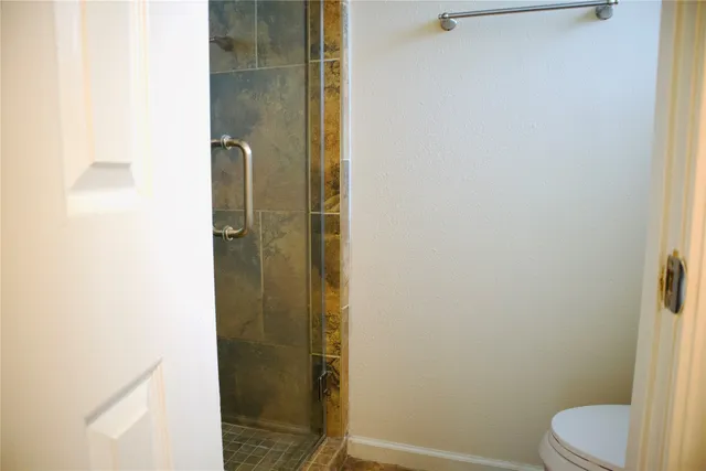 a bathroom with a shower and a toilet