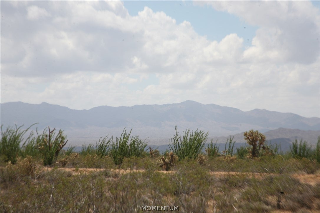 016 South Gene Autry Road Yucca, AZ 86438 - Photo 28 of 38 Gallery Image 28