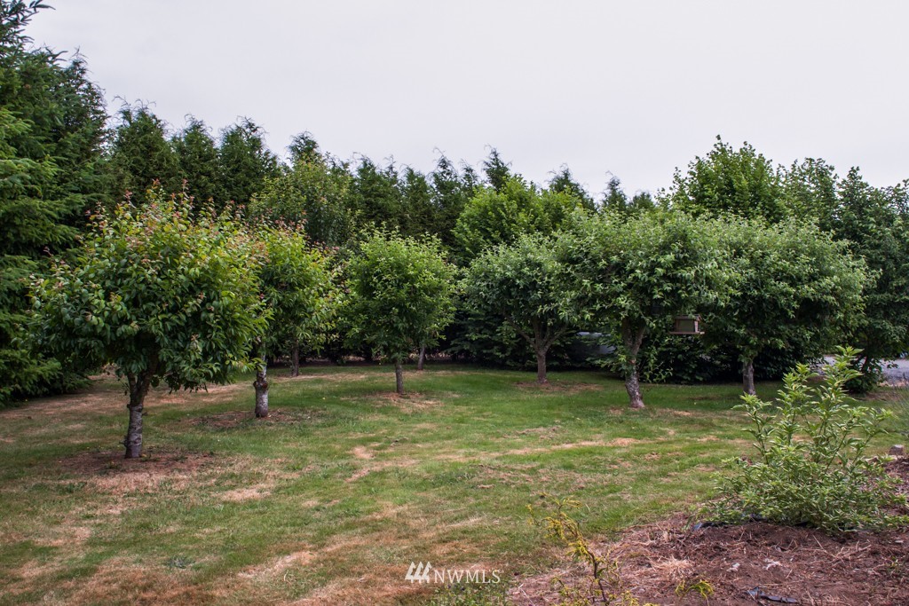 3387 Mountain View Road Ferndale, WA 98248 - Photo 21 of 21