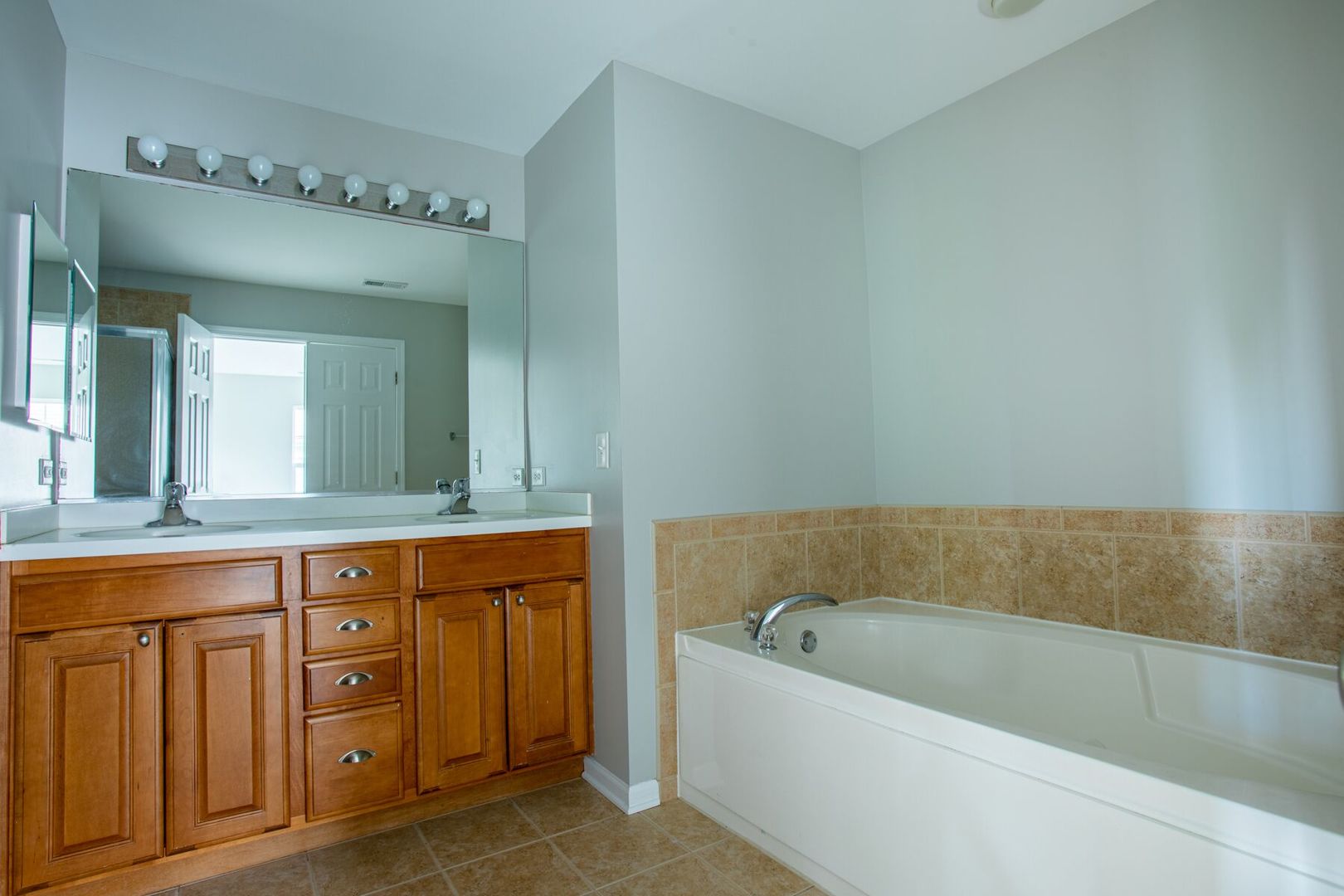 4125 Bethlehem Road Aurora, IL 60504 - Photo 12 of 19 a bathroom with a tub a sink and a large mirror