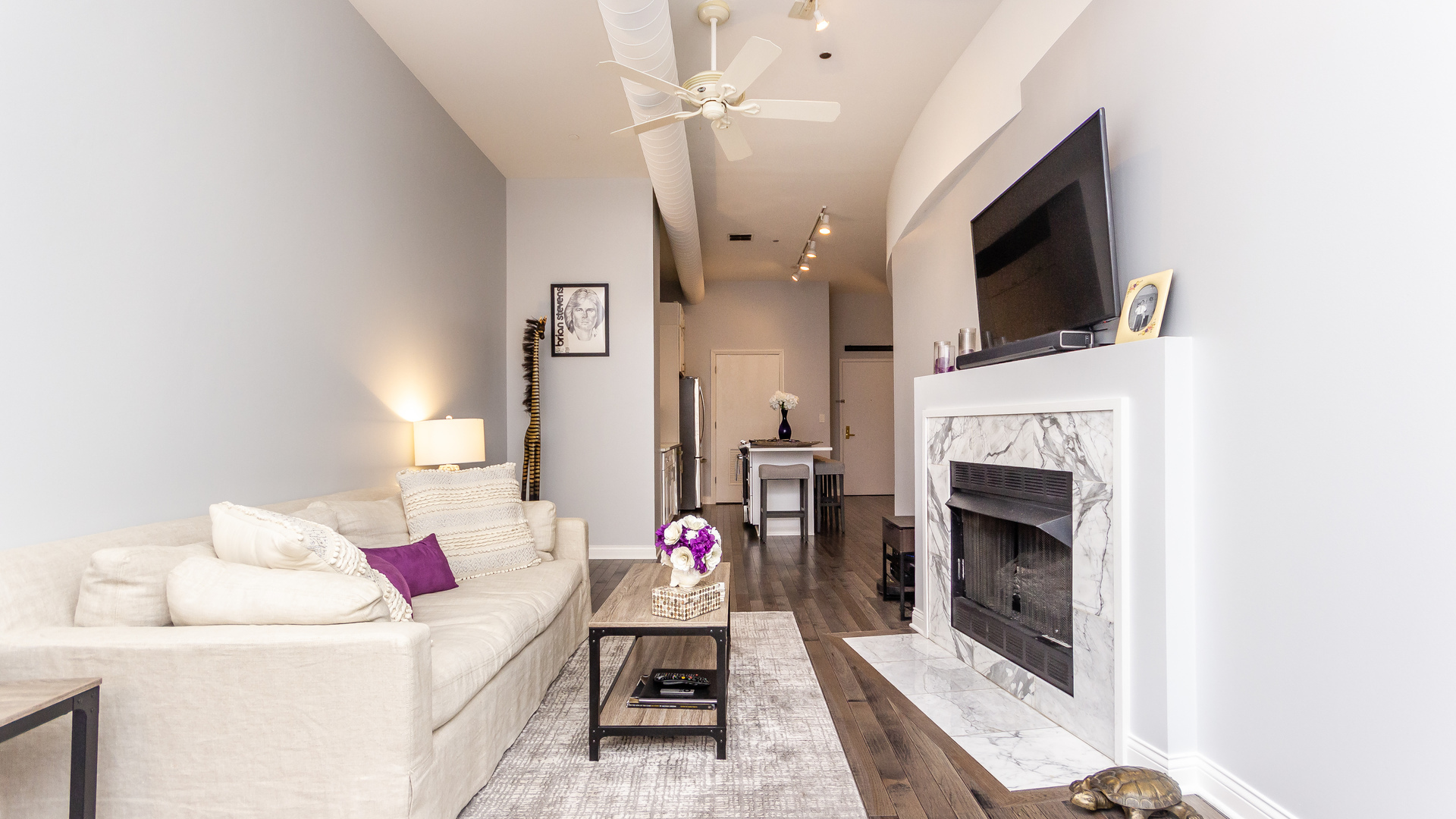 910 South Michigan Avenue, Unit 906 Chicago, IL 60605 - Photo 8 of 22