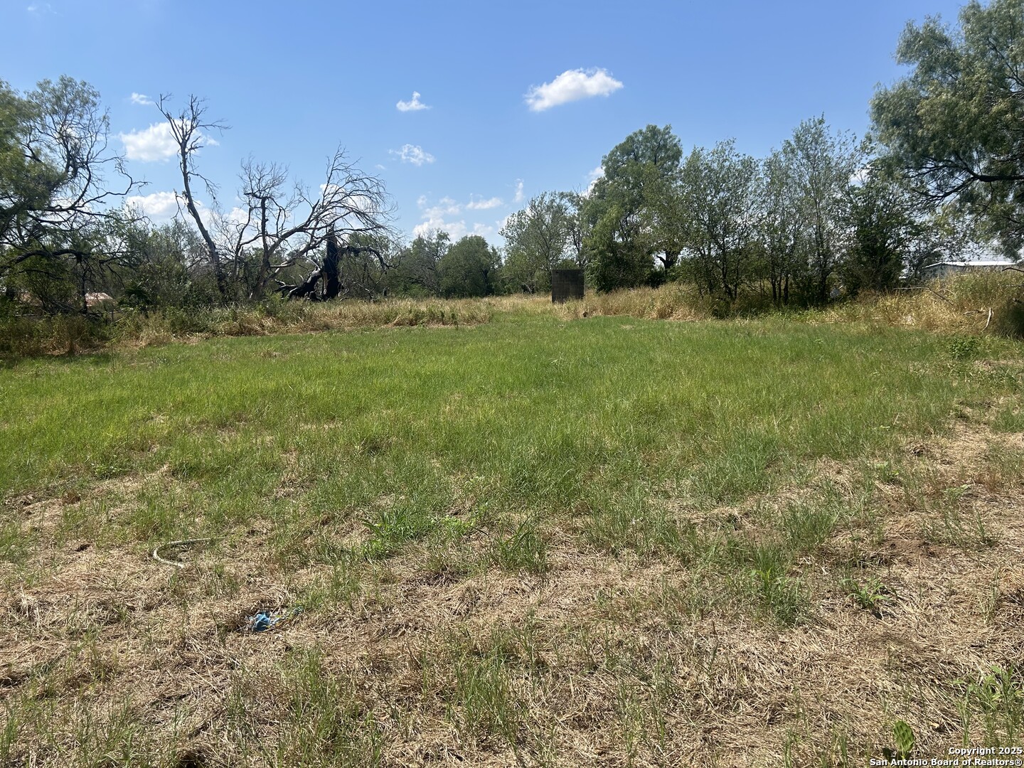 12831 Pearsall Road Atascosa, TX 78002 - Photo 13 of 17