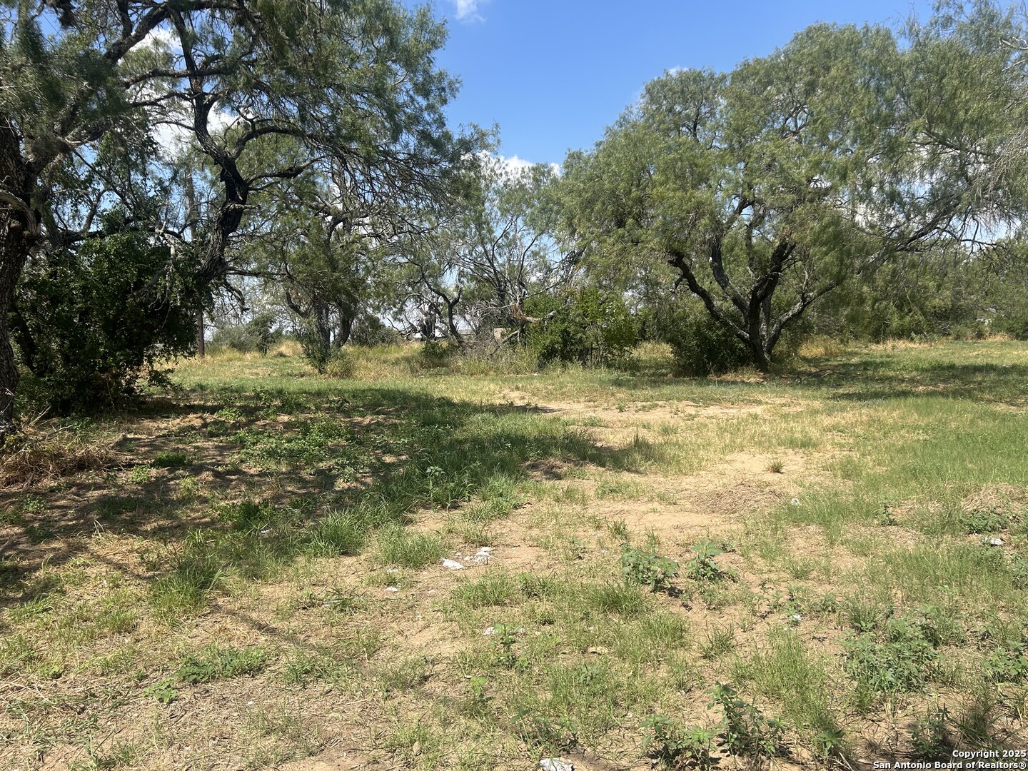 12831 Pearsall Road Atascosa, TX 78002 - Photo 14 of 17
