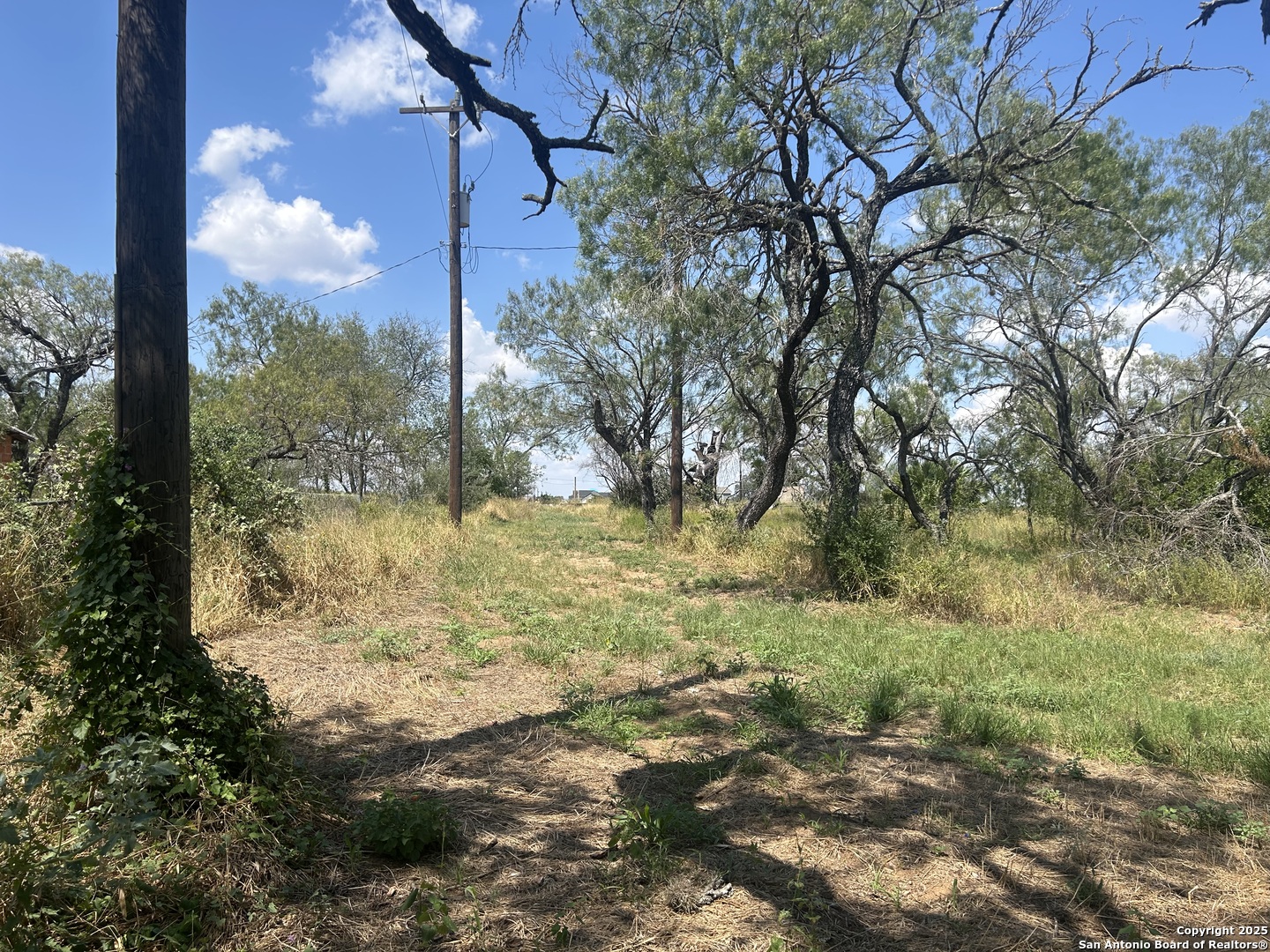 12831 Pearsall Road Atascosa, TX 78002 - Photo 3 of 17