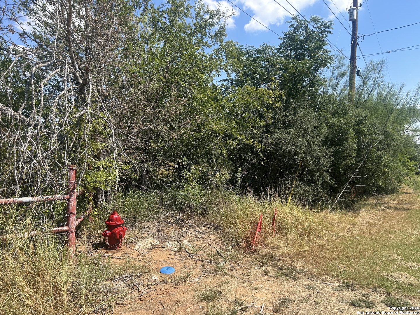 12831 Pearsall Road Atascosa, TX 78002 - Photo 8 of 17