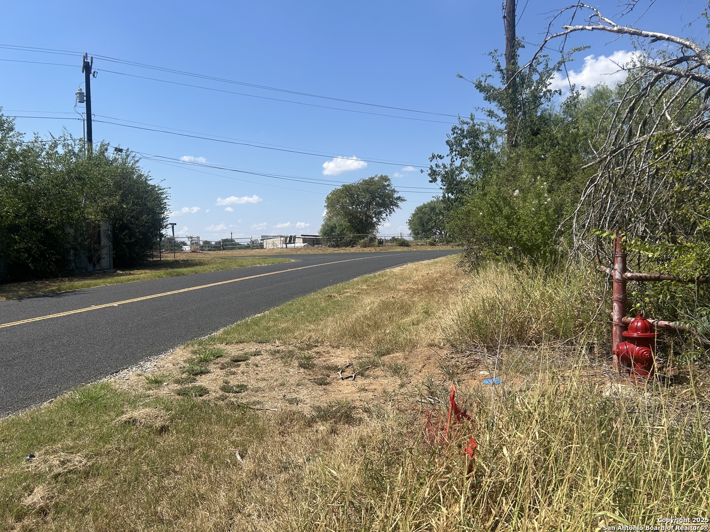 12831 Pearsall Road Atascosa, TX 78002 - Photo 9 of 17