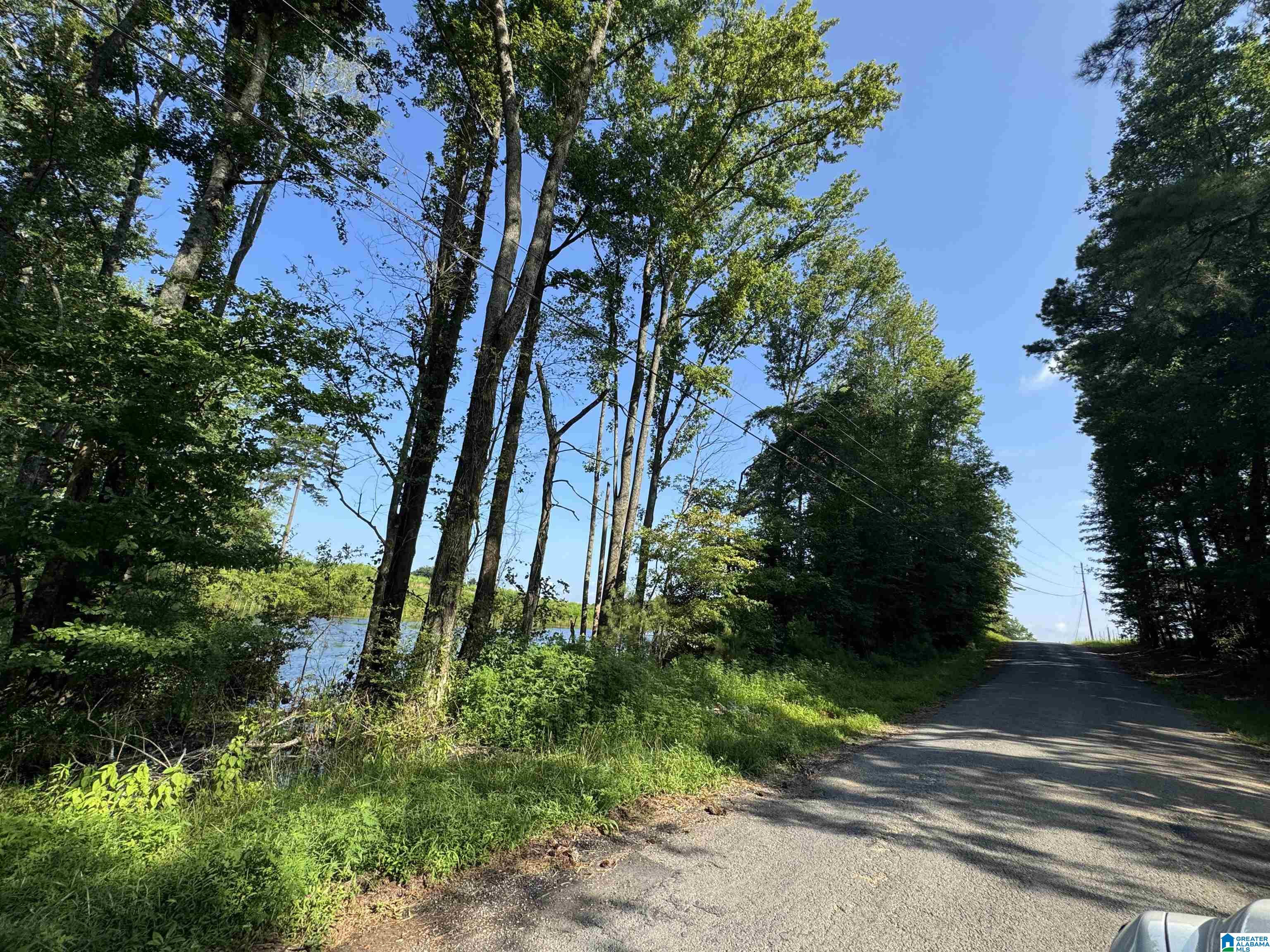 0 County Highway 27, Unit 47 Springville, AL 35146 - Photo 27 of 53