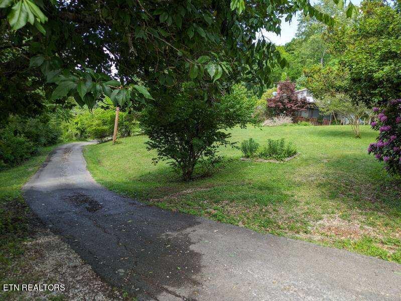 6317 Lacy Road Knoxville, TN 37912 - Photo 13 of 19 image000005
