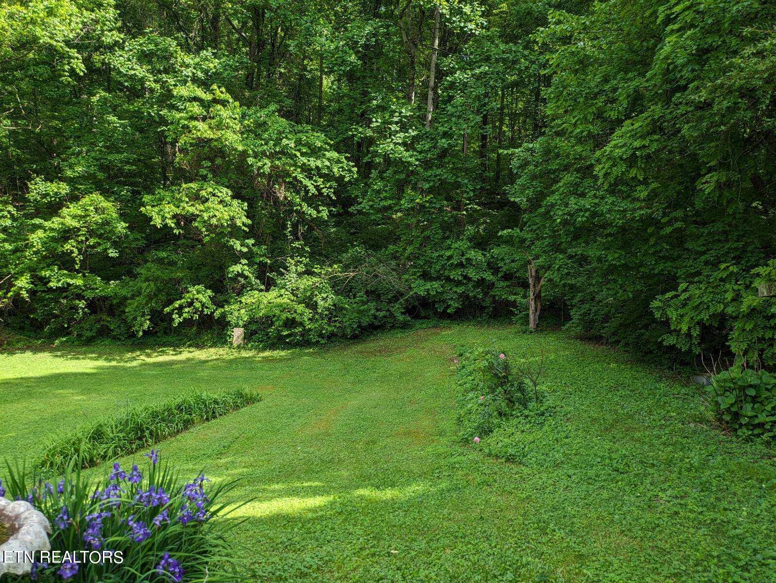 6317 Lacy Road Knoxville, TN 37912 - Photo 19 of 19 image000001