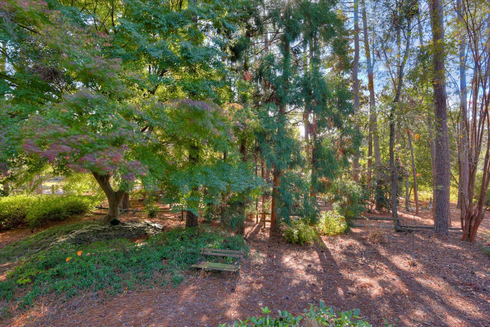 910 Holley Lake Road Aiken, SC 29803 - Photo 48 of 48 Gallery Image 48
