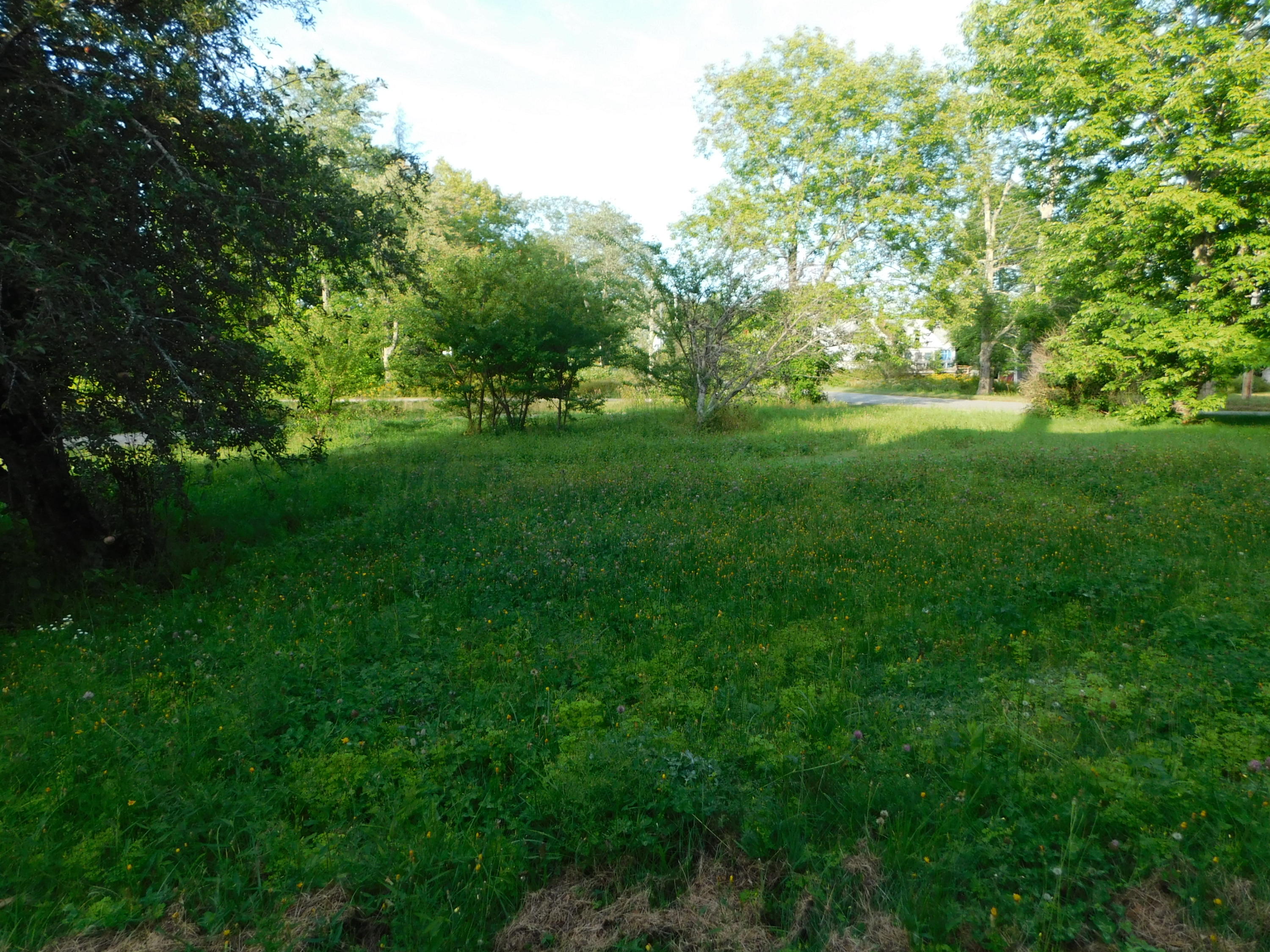 138 Old County Road Pembroke, ME 04666 - Photo 27 of 32 DSCN2609