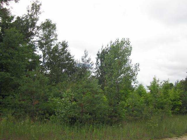 117 County Line Road Northeast Mancelona, MI 49659 - Photo 9 of 27 1787192-8.JPG