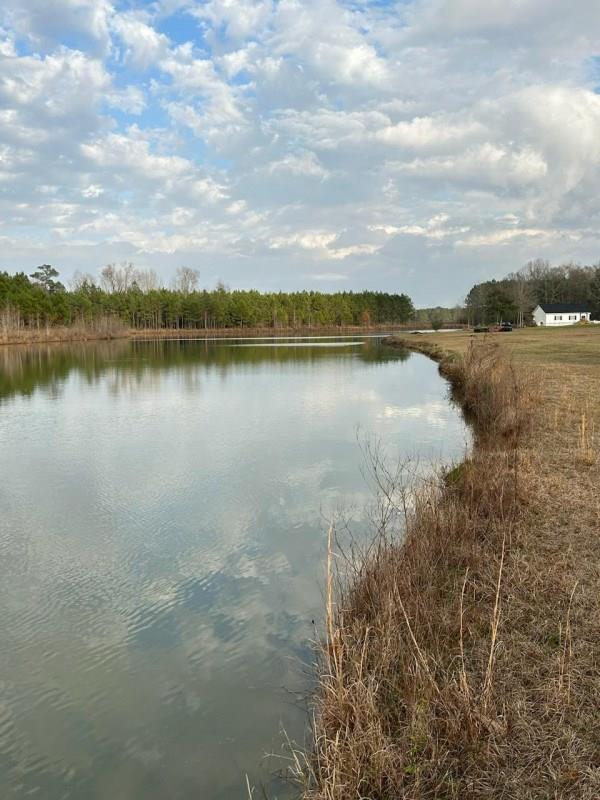 301 Crimson Road Cowarts, AL 36321 - Photo 1 of 9