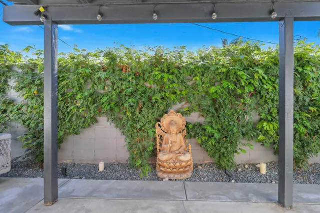 a picture of a yard and tree s