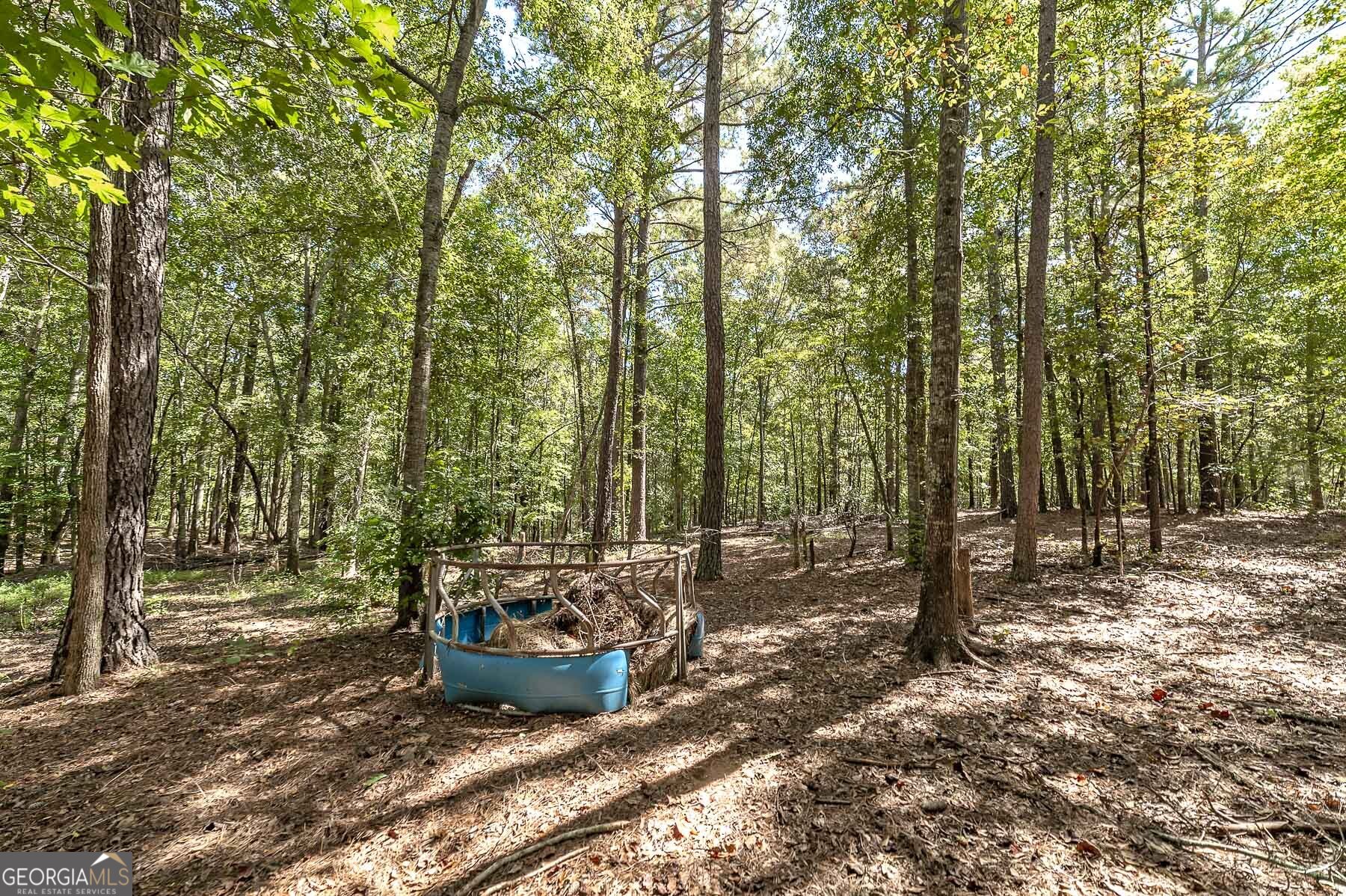 447 Grandview Road Mansfield, GA 30055 - Photo 38 of 65