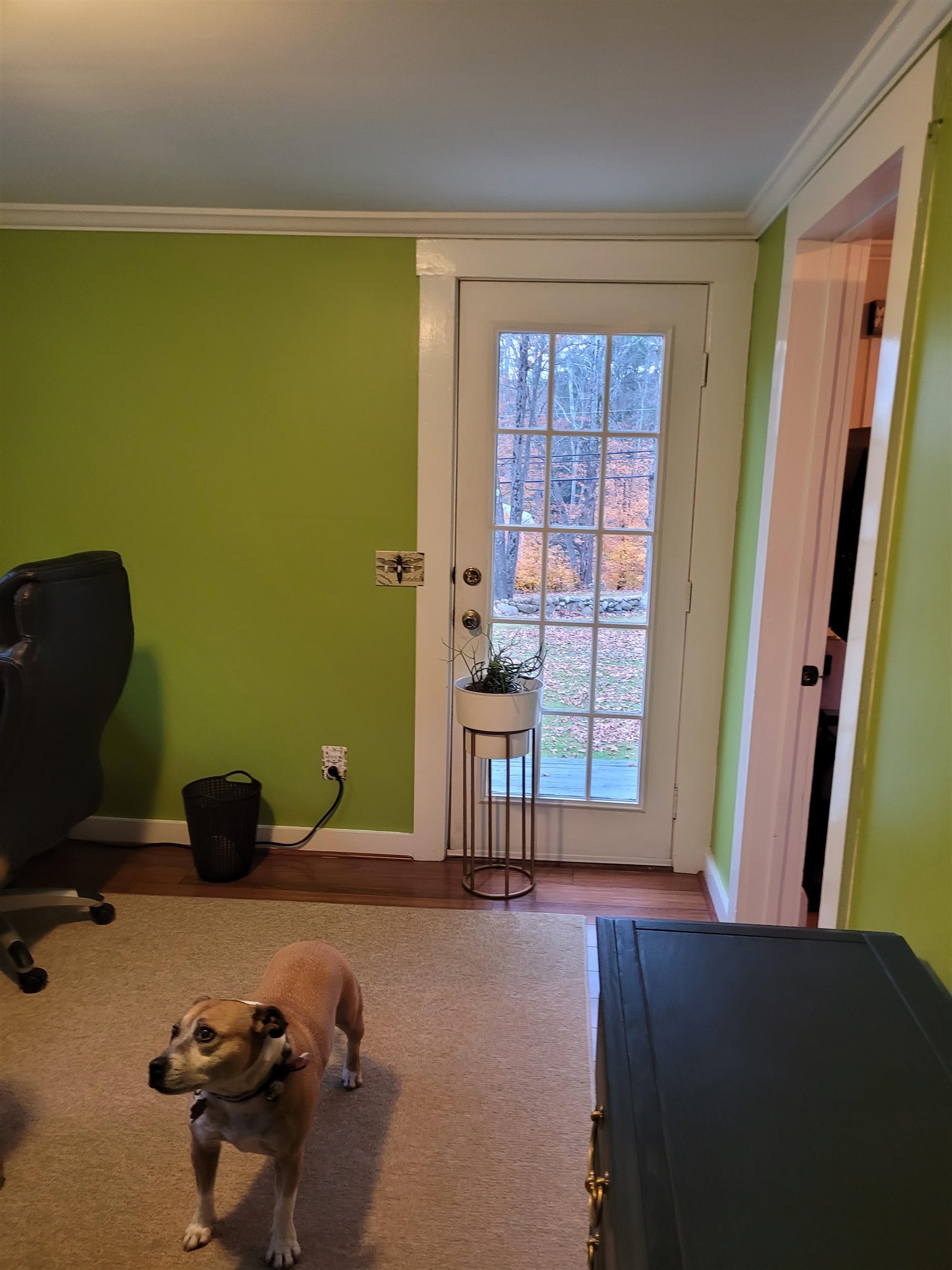 306 Main Street Jaffrey, NH 03452 - Photo 28 of 40 Gallery Image 28
