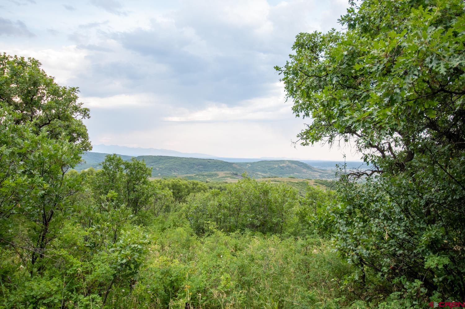 26779 Fs Road Norwood, CO 81423 - Photo 27 of 44 a view of a green field with lots of bushes