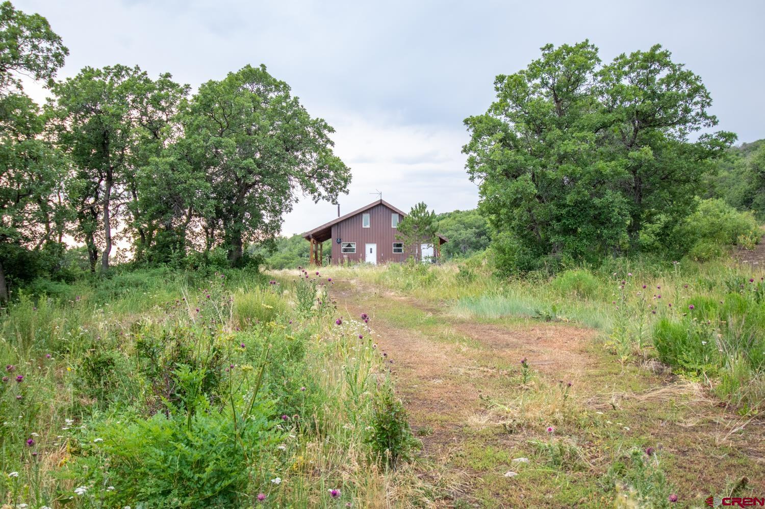 26779 Fs Road Norwood, CO 81423 - Photo 28 of 44